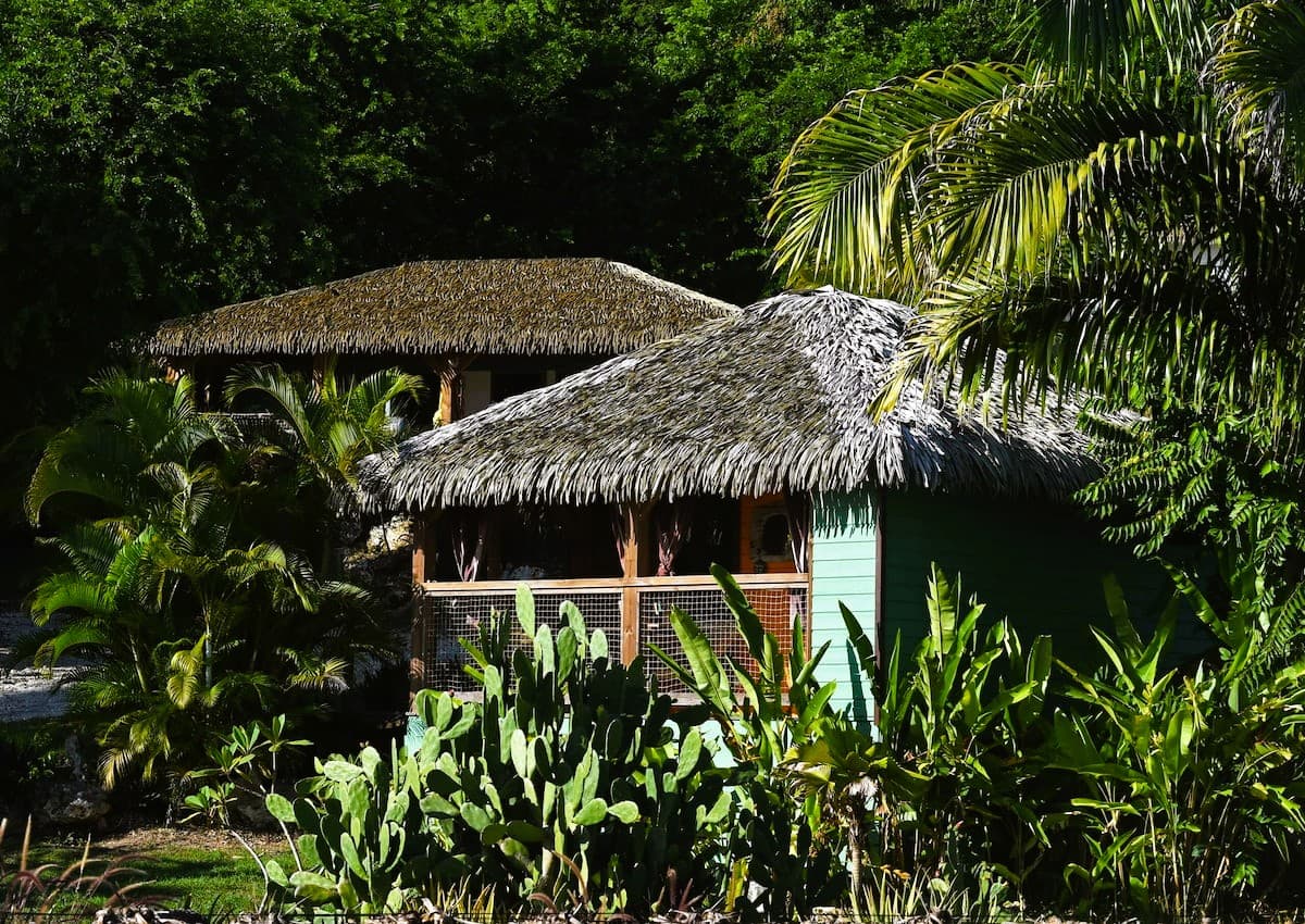 Kabanon — photo 2
