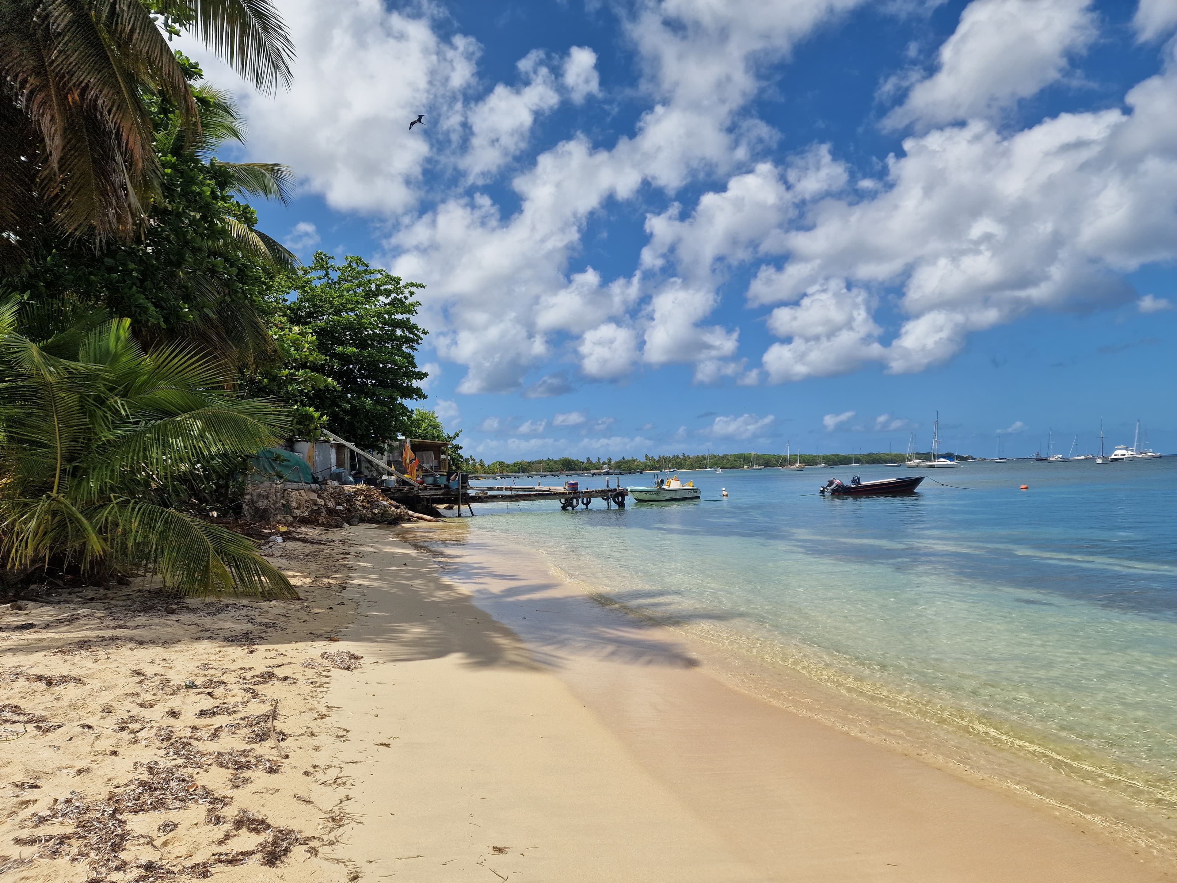 Kazamanlaure — location Bungalow à Saint-Louis, Marie-Galante