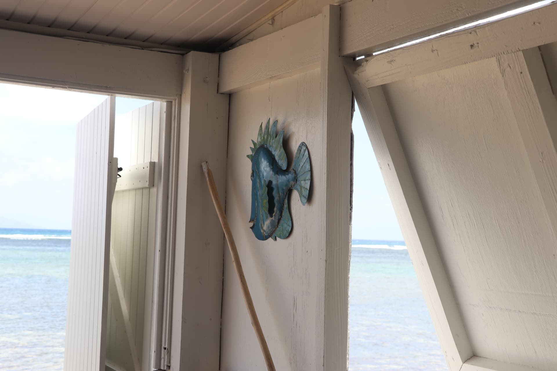 Kaz Korifen — photo 3