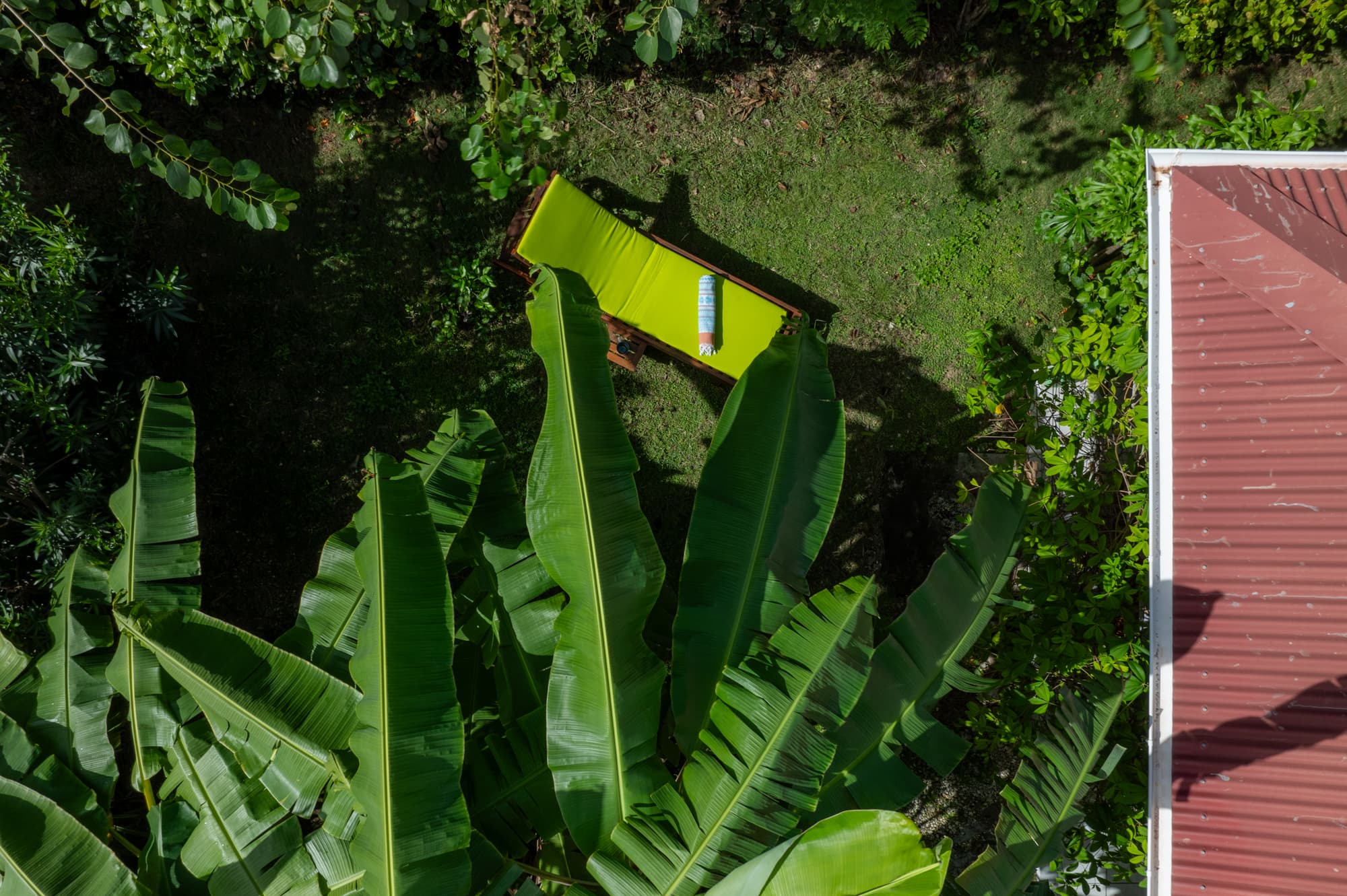 Ti'Kaz Citron Vert — photo 5