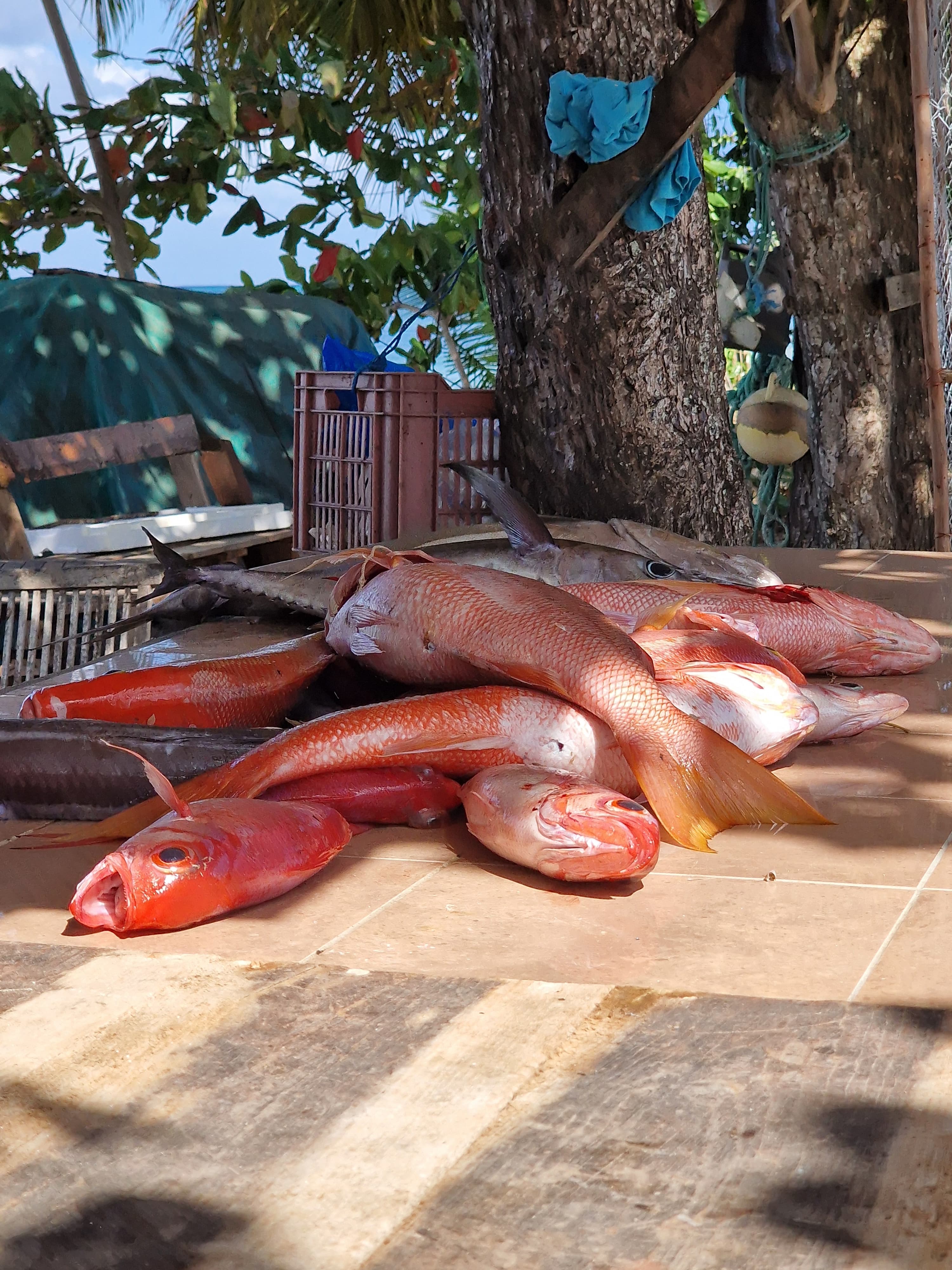Tropical fruit stall at a market in Marie-Galante