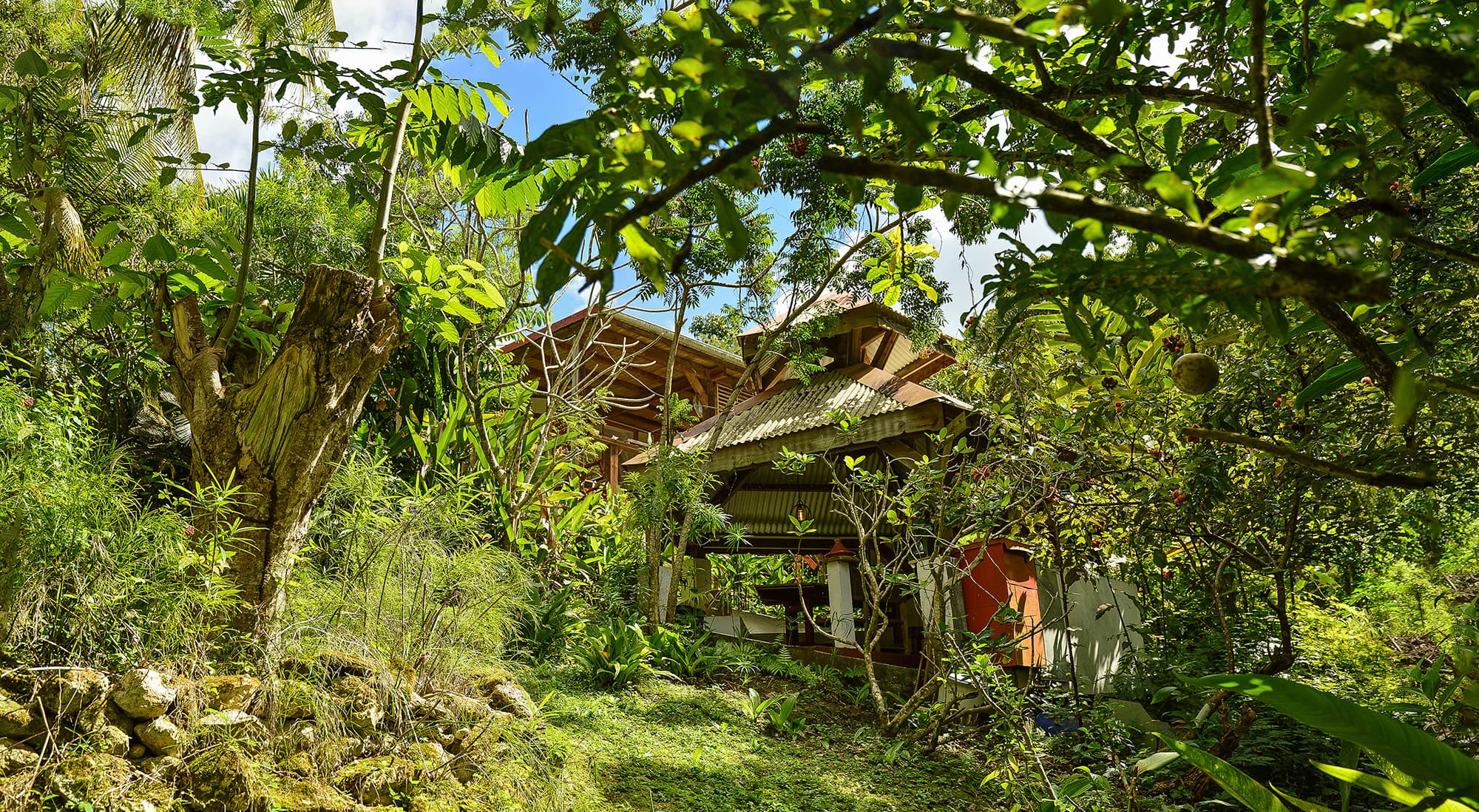 Jardin des Foufous — Cabin rental in Grand-Bourg, Marie-Galante