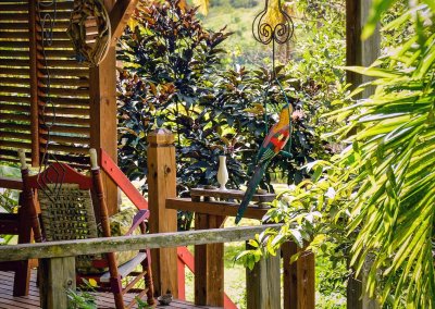 jardin des foufous bungalow marie galante kazamariegalante depuis le jardin