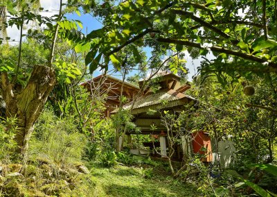 jardin des foufous bungalow marie galante kazamariegalante vue depuis le jardin